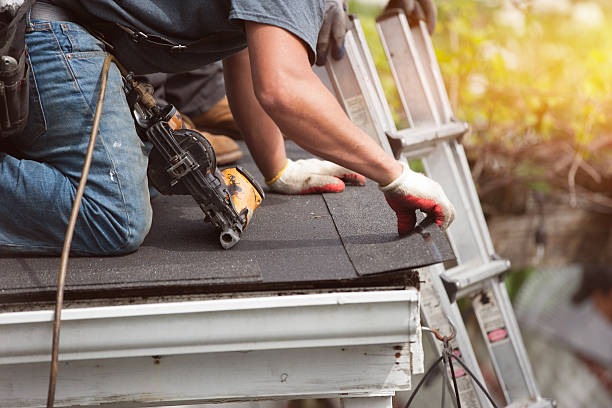 Best Flat Roof Repair Services  in Tremont, PA