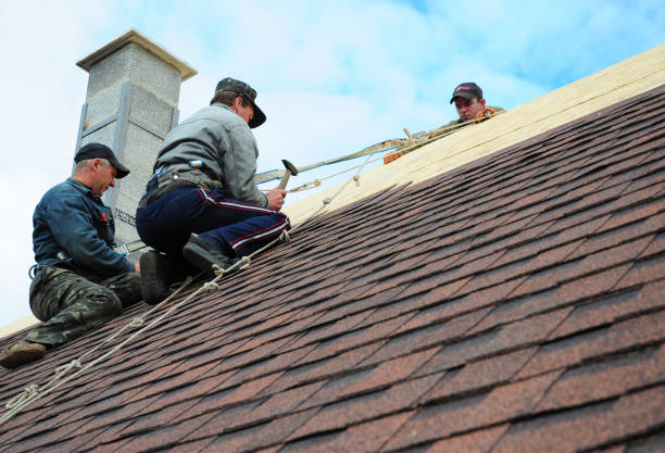 Best Roof Maintenance Services  in Tremont, PA