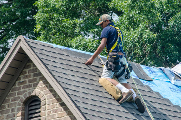 Best Roof Waterproofing Services  in Tremont, PA